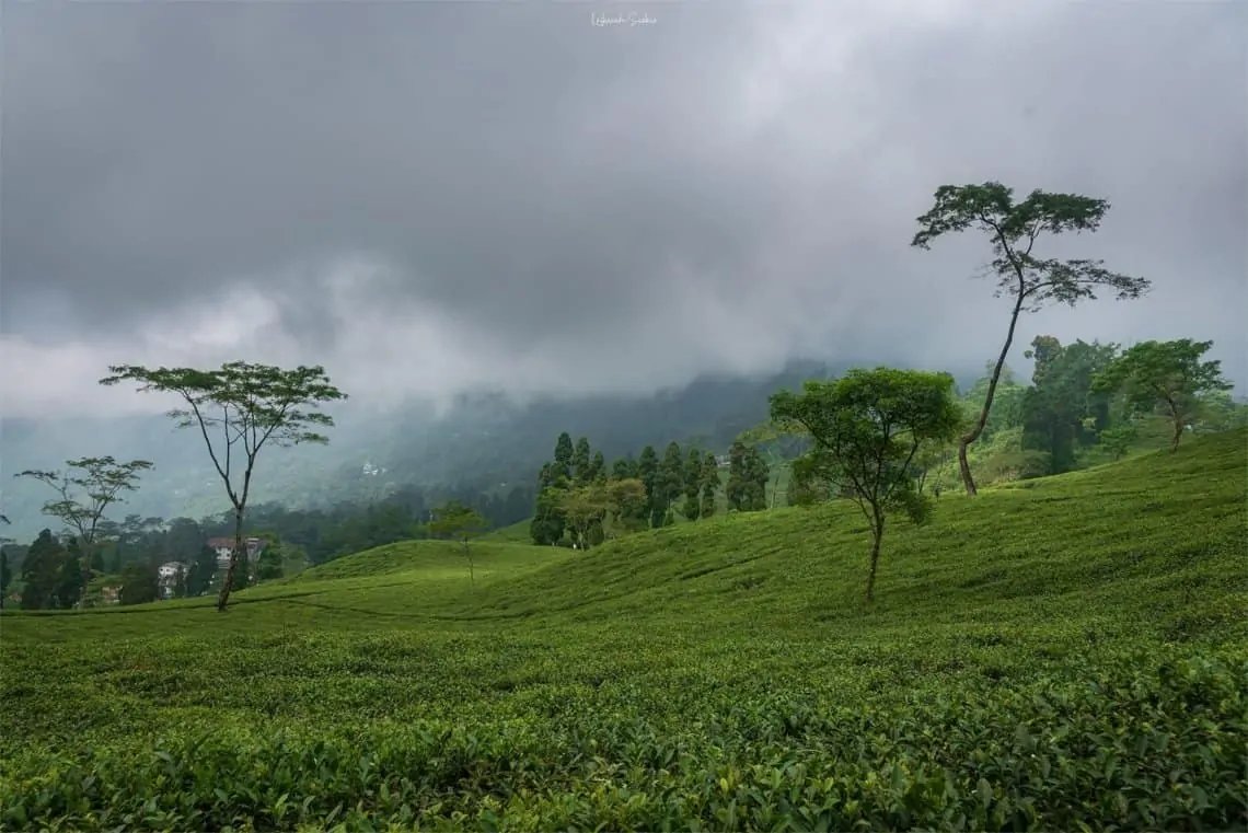 Darjeeling Tour Package For 3N & 4D